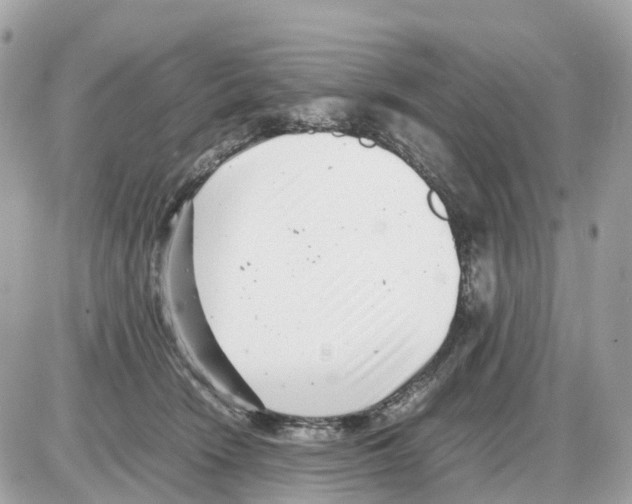 X0000085210466200704091911