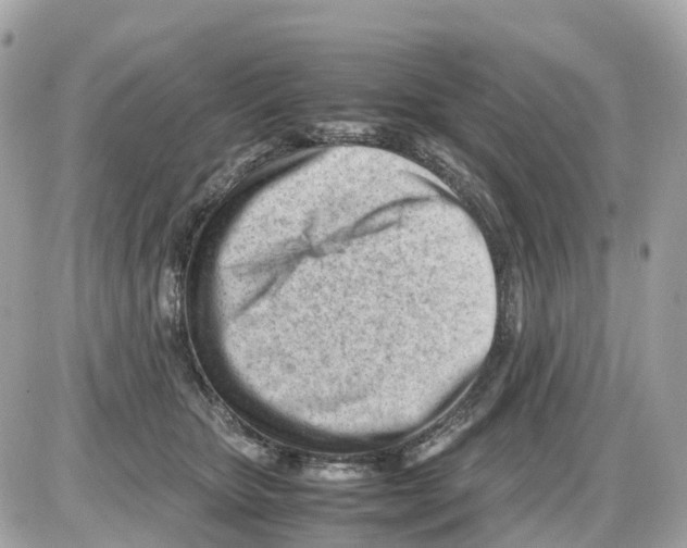 X0000085210467200704091911