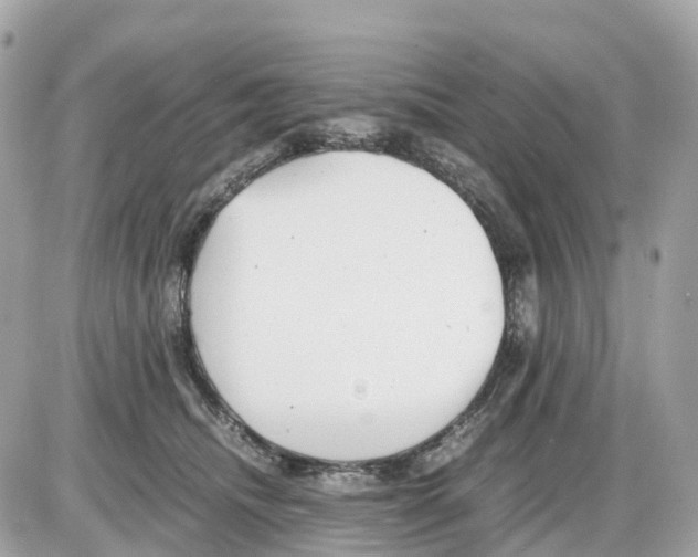 X0000085210468200704091911