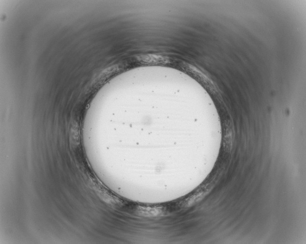 X0000085210469200704091911