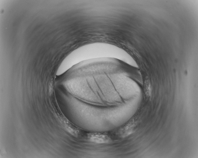 X0000085210471200704091911