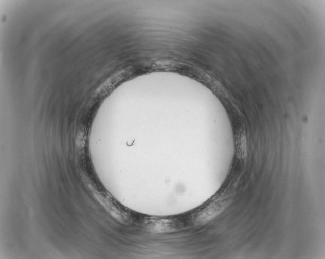 X0000085210472200704091911