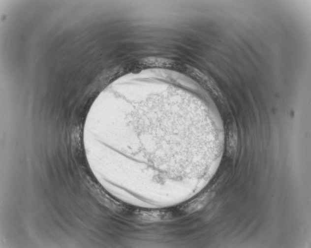 X0000085210473200704091911