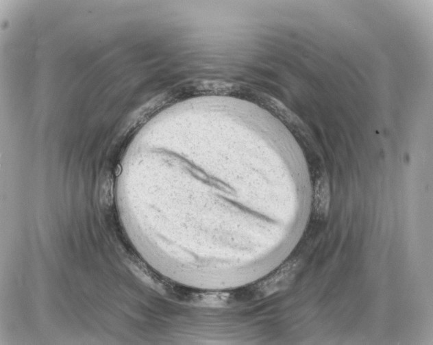 X0000085210474200704091911