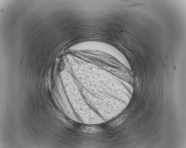 X0000085210475200704091911