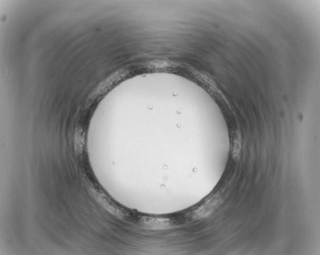 X0000085210476200704091911