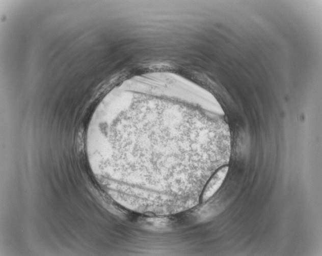 X0000085210478200704091911