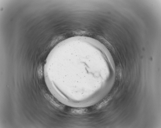 X0000085210479200704091911