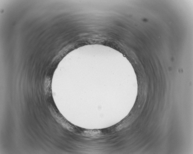 X0000085210480200704091911