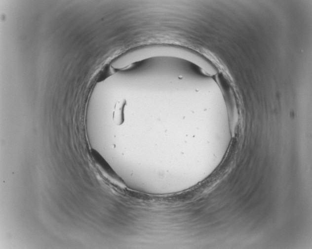 X0000085210481200704091910