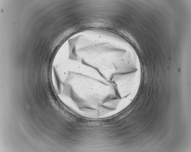 X0000085210482200704091910