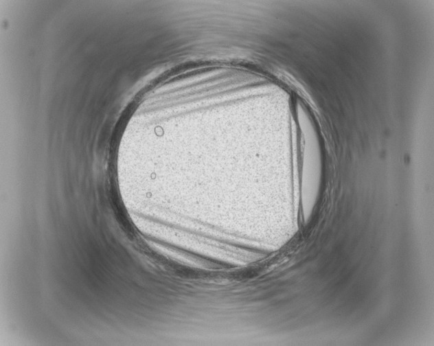 X0000085210483200704091910