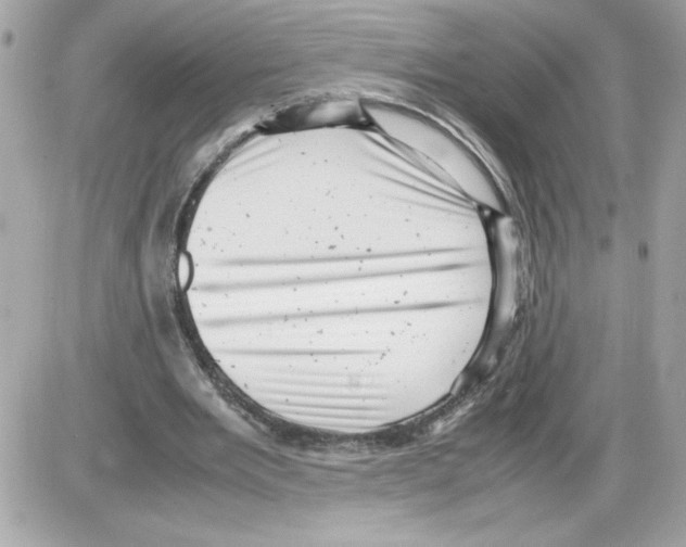 X0000085210485200704091910