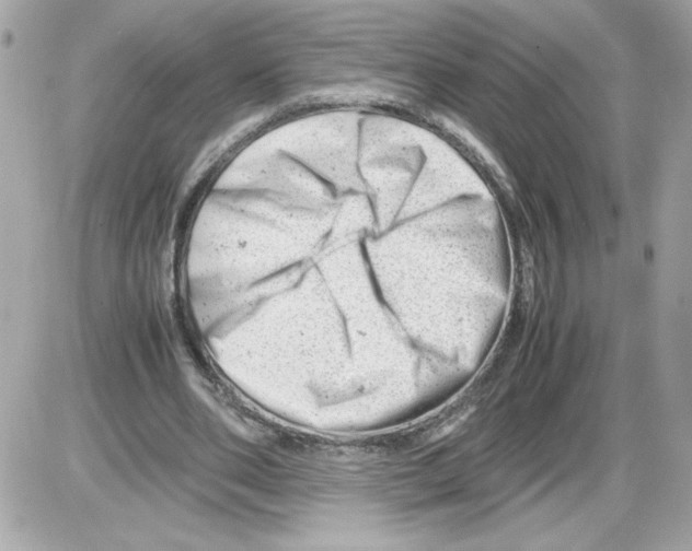 X0000085210486200704091910