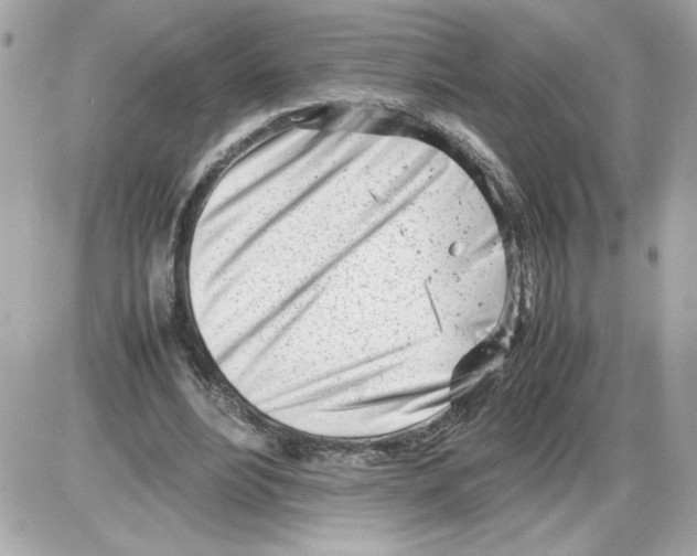 X0000085210488200704091910