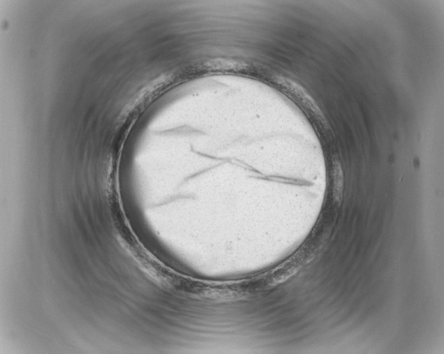 X0000085210490200704091910