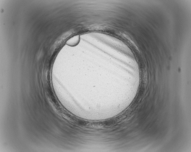 X0000085210491200704091910