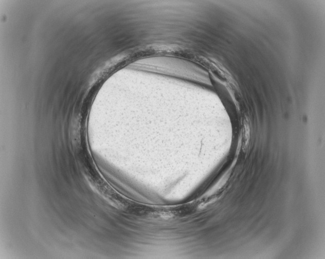 X0000085210492200704091910