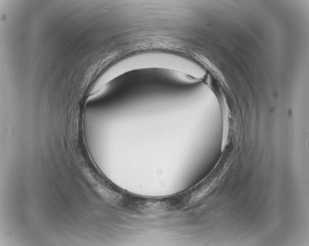 X0000085210493200704091910