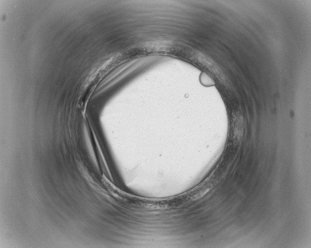 X0000085210494200704091910