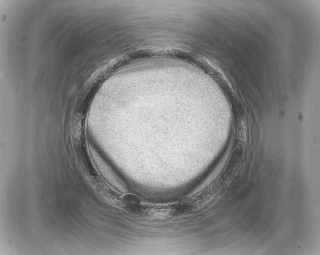 X0000085210495200704091910