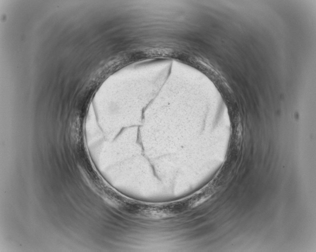 X0000085210498200704091910