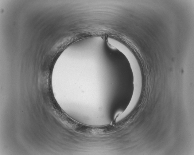 X0000085210501200704091910