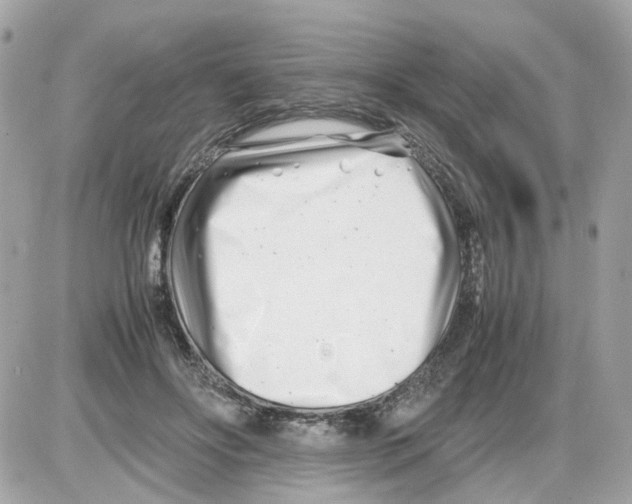 X0000085210502200704091910