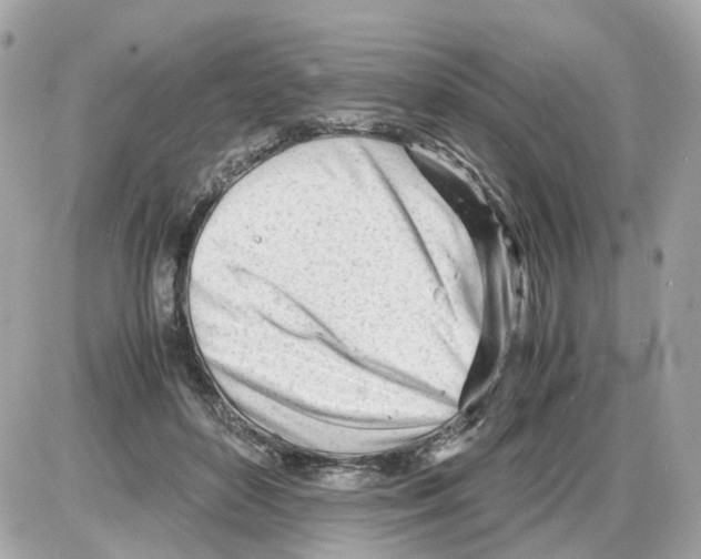 X0000085210504200704091910