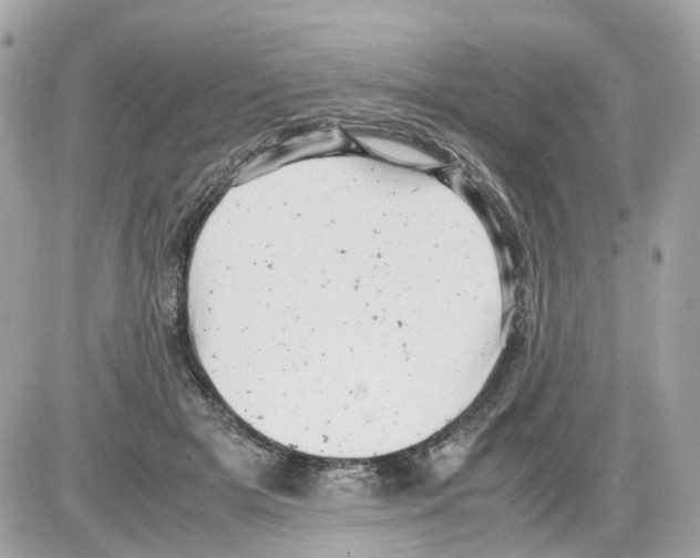 X0000085210505200704091910