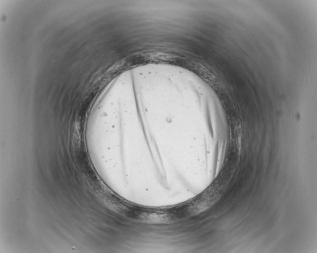 X0000085210506200704091910