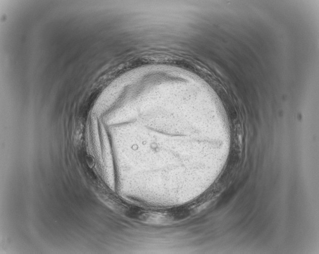 X0000085210507200704091910