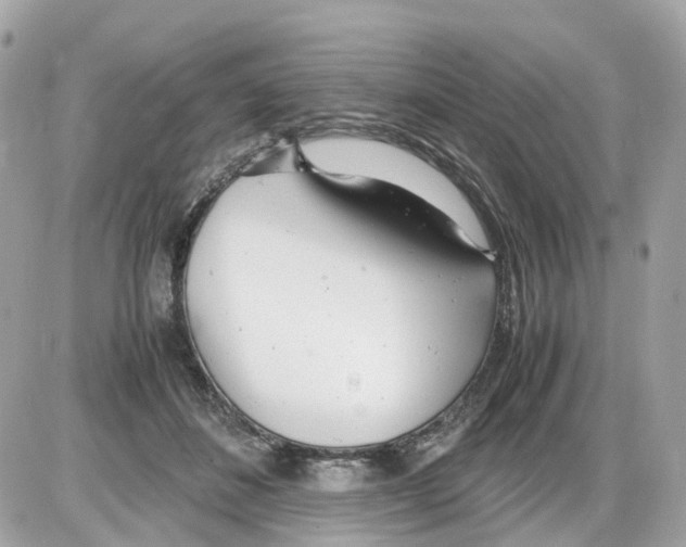 X0000085210508200704091910