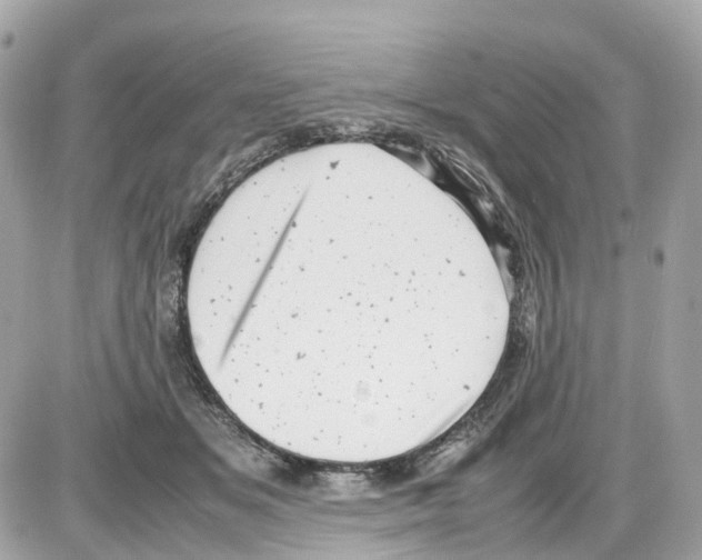 X0000085210509200704091910