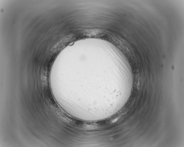 X0000085210510200704091910