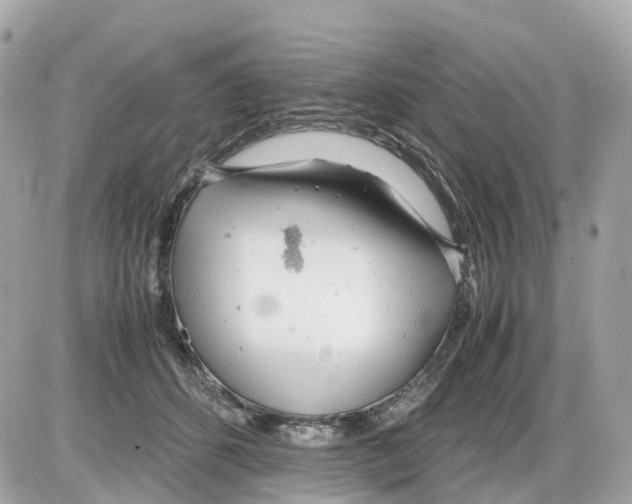 X0000085210512200704091910