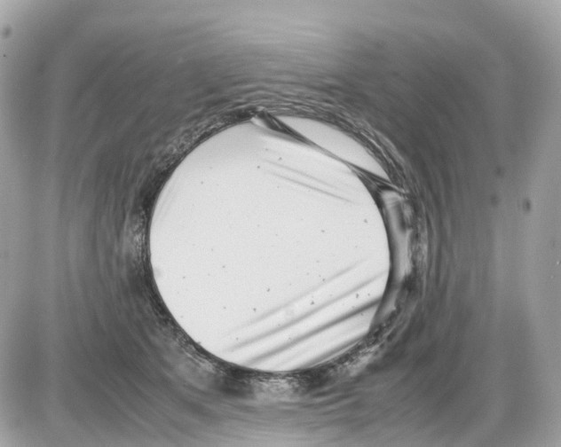 X0000085210513200704091910