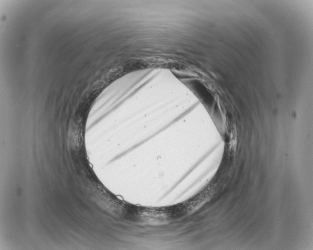 X0000085210515200704091909