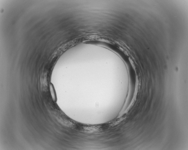 X0000085210516200704091909