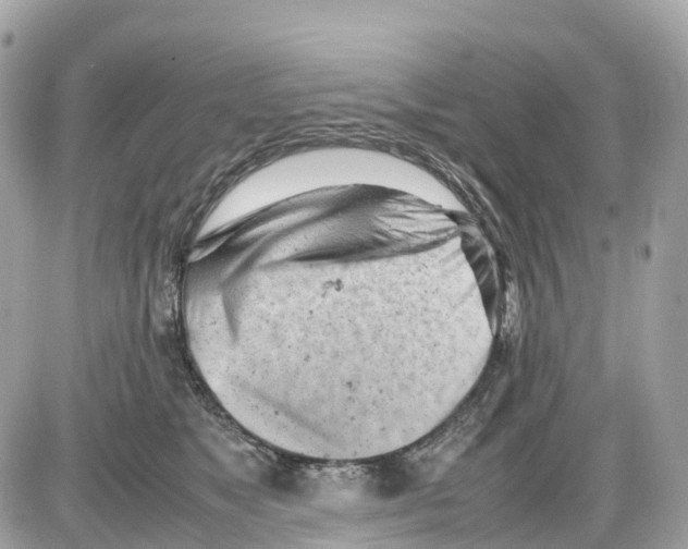 X0000085210517200704091909