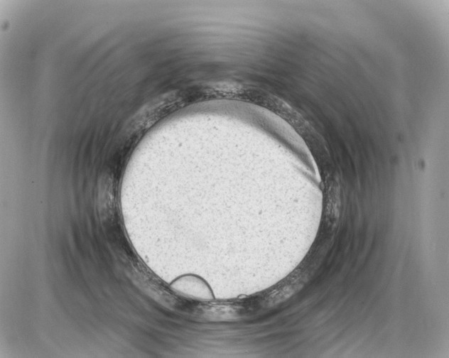 X0000085210518200704091909