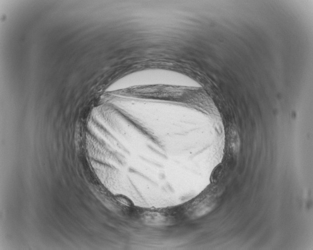 X0000085210519200704091909