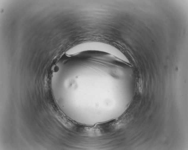 X0000085210520200704091909