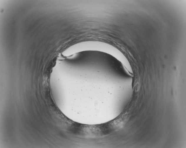 X0000085210521200704091909