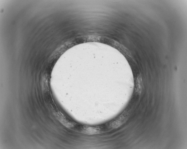 X0000085210522200704091909