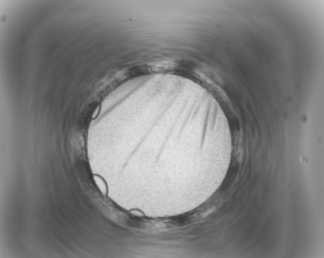 X0000085210523200704091909