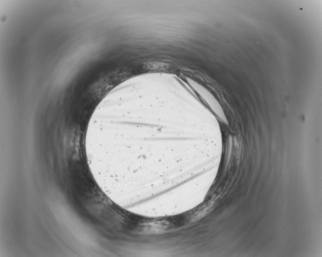 X0000085210525200704091909