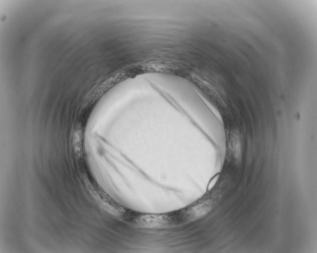 X0000085210526200704091909