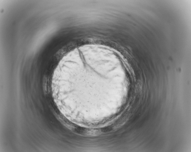 X0000085210527200704091909