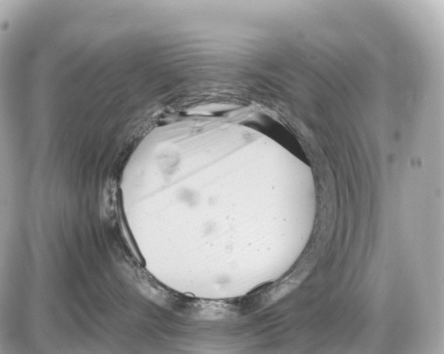 X0000085210528200704091909